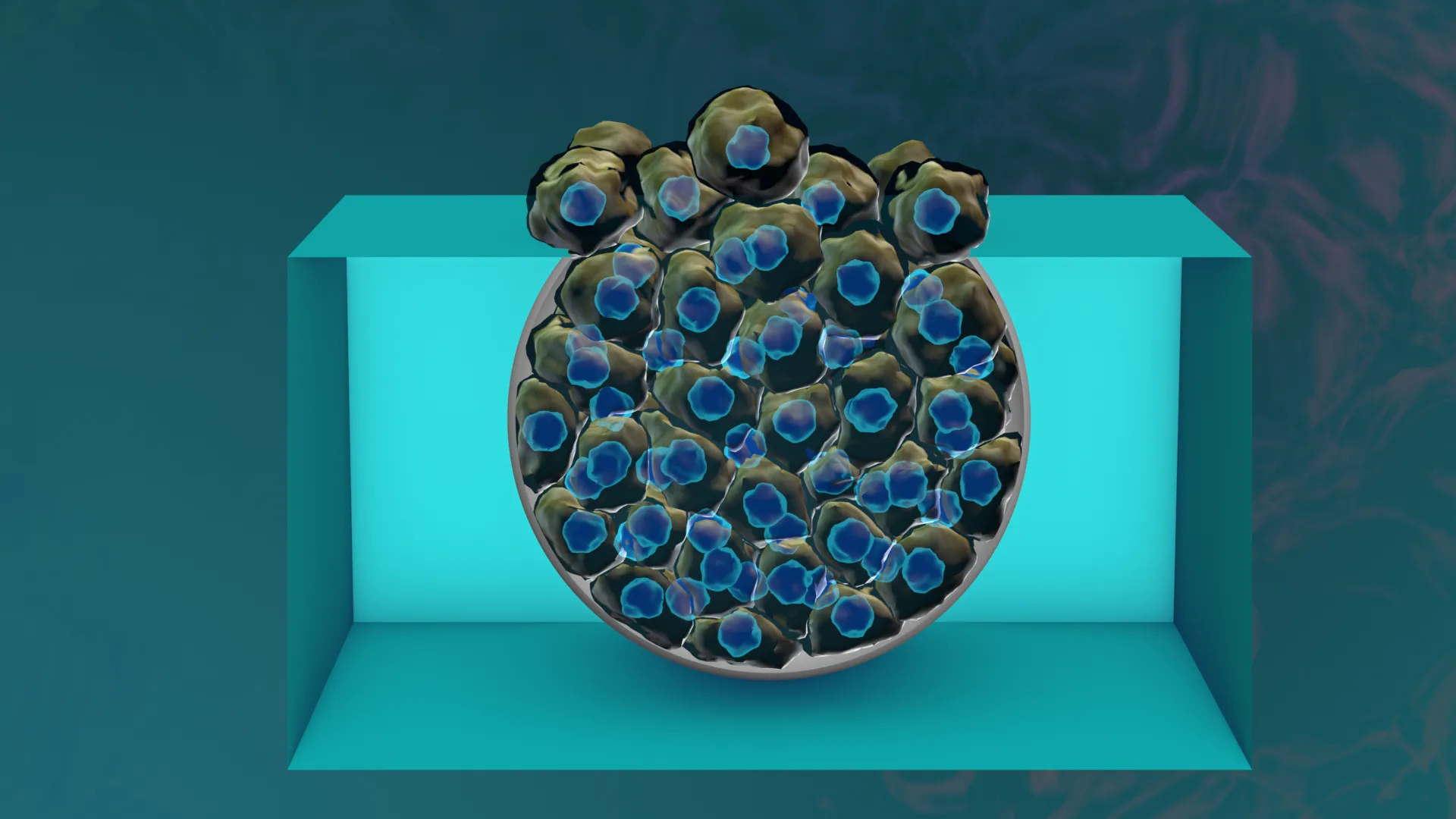 ladvanced